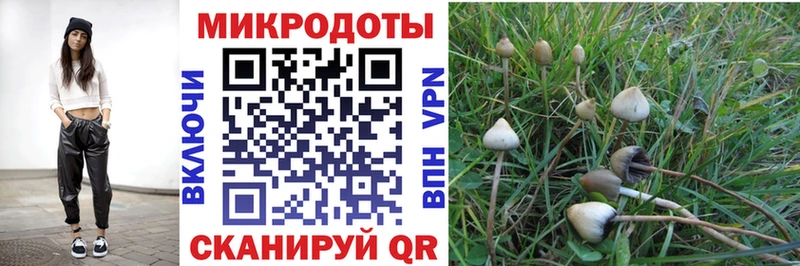 KRAKEN рабочий сайт  Удомля  Псилоцибиновые грибы GOLDEN TEACHER 